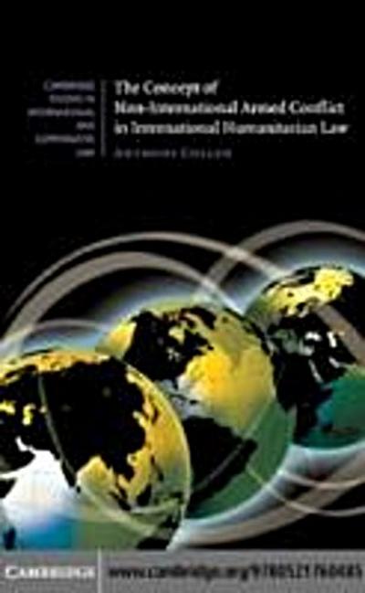Concept of Non-International Armed Conflict in International Humanitarian Law