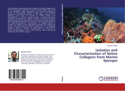 Isolation and Characterization of Native Collagens from Marine Sponges