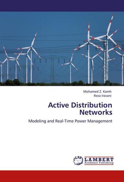 Active Distribution Networks