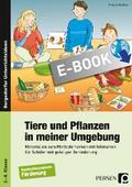 Tiere und Pflanzen in meiner Umgebung