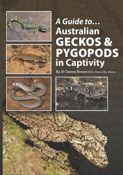 Guide to Australian Geckos & Pygopods