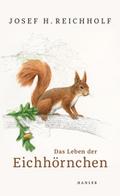 Das Leben der Eichhörnchen | Buch