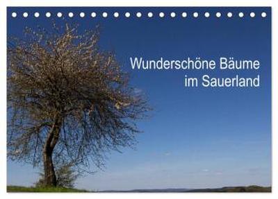 Wunderschöne Bäume im Sauerland (Tischkalender 2026 DIN A5 quer), CALVENDO Monatskalender