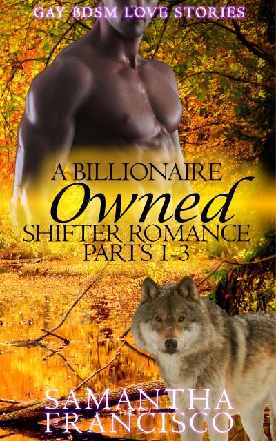 Owned: A Billionaire Shifter Romance 1-3 (Gay BDSM Love Stories, #1)
