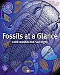 Fossils at a Glance