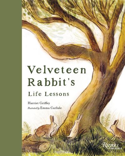 Velveteen Rabbit’s Life Lessons