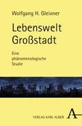 Lebenswelt Großstadt