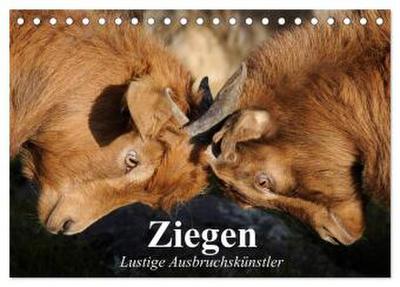 Ziegen. Lustige Ausbruchskünstler (Tischkalender 2026 DIN A5 quer), CALVENDO Monatskalender