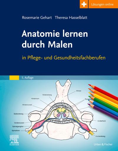 Anatomie lernen durch Malen