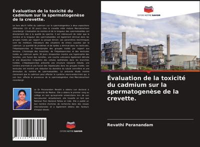 Évaluation de la toxicité du cadmium sur la spermatogenèse de la crevette.