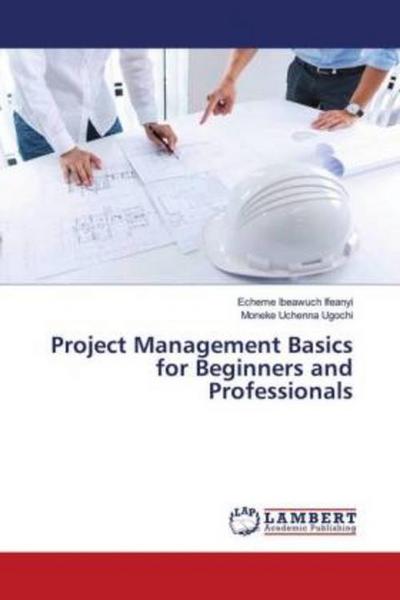Project Management Basics for Beginners and Professionals