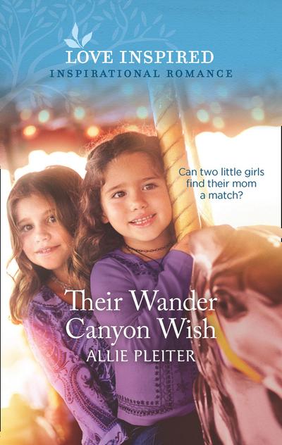 Their Wander Canyon Wish (Mills & Boon Love Inspired) (Wander Canyon, Book 1)