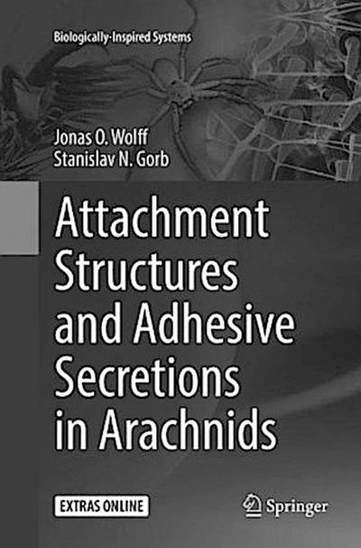 Attachment Structures and Adhesive Secretions in Arachnids