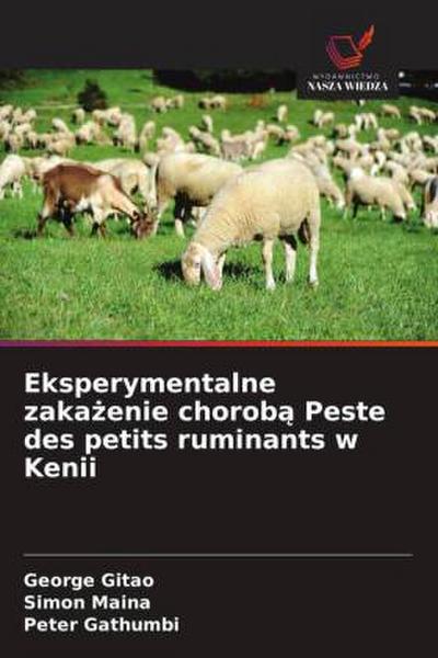 Eksperymentalne zaka&#380;enie chorob&#261; Peste des petits ruminants w Kenii