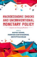 Macroeconomic Shocks and Unconventional Monetary Policy