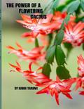 The Power of a Flowering Cactus