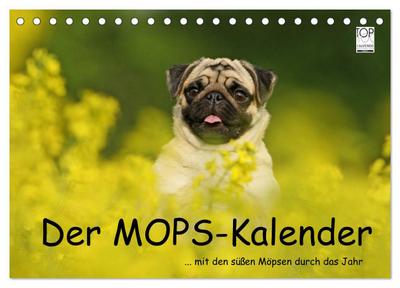 Der MOPS-Kalender (Tischkalender 2026 DIN A5 quer), CALVENDO Monatskalender