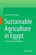 Sustainable Agriculture in Egypt