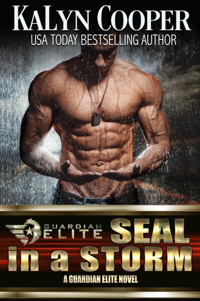 SEAL in a Storm (Silver SEALs, #5)