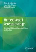 Macroscopic Osteopathology