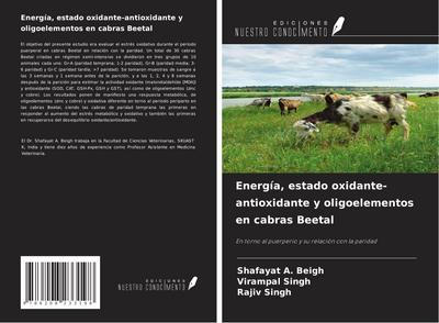 Energía, estado oxidante-antioxidante y oligoelementos en cabras Beetal
