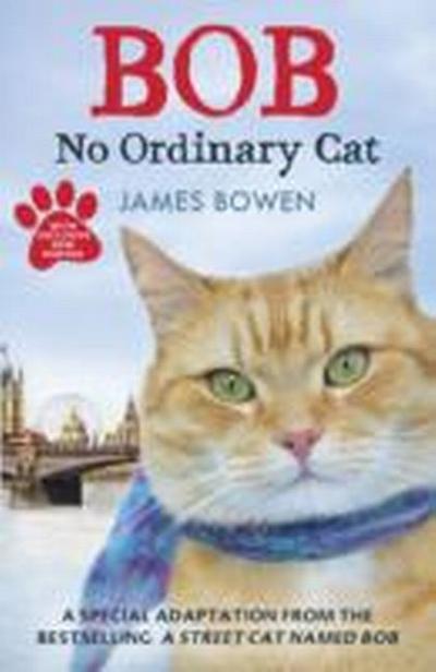 Bob - No Ordinary Cat - James Bowen