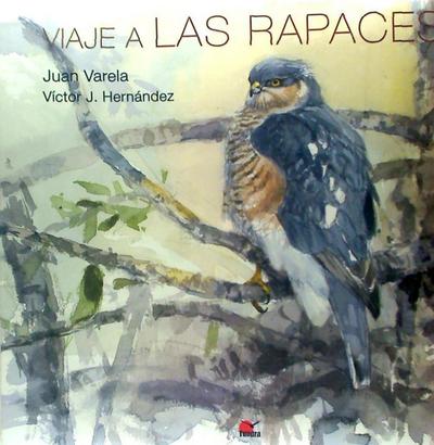 Viaje a las rapaces