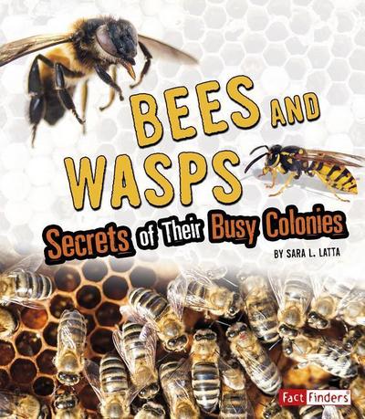 Bees and Wasps