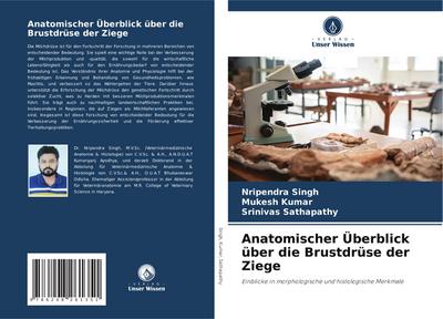 Anatomischer Überblick über die Brustdrüse der Ziege