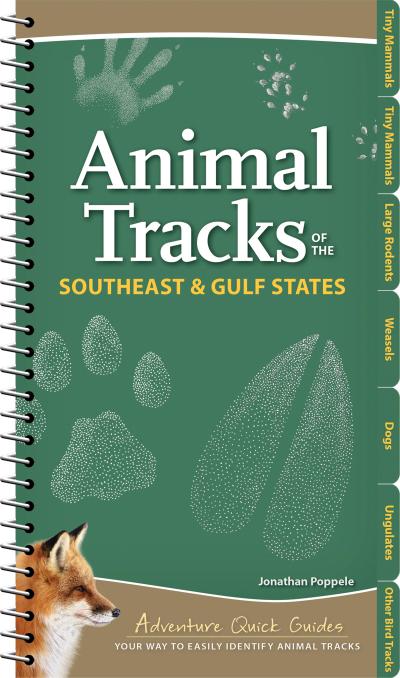 Animal Tracks of the Southeast & Gulf States