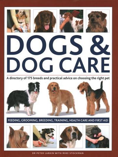 Dogs & Dog Care
