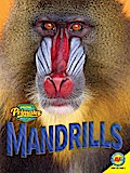 Mandrills
