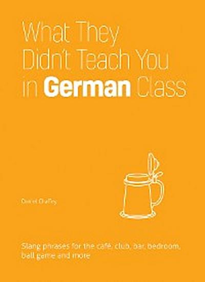 What They Didn’t Teach You in German Class