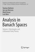 Analysis in Banach Spaces: Volume I: Martingales and Littlewood-Paley Theory (Ergebnisse der Mathematik und ihrer Grenzgebiete. 3. Folge / A Series of Modern Surveys in Mathematics, Band 63)
