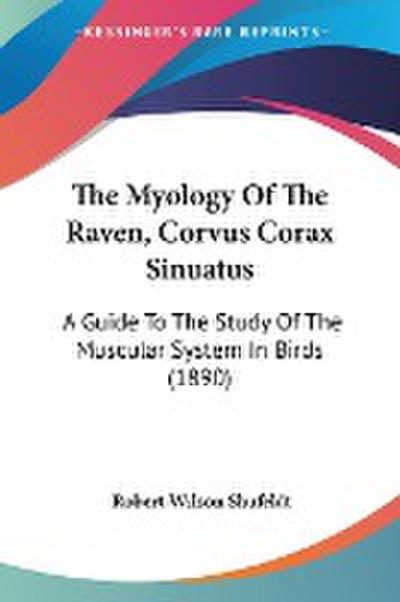The Myology Of The Raven, Corvus Corax Sinuatus