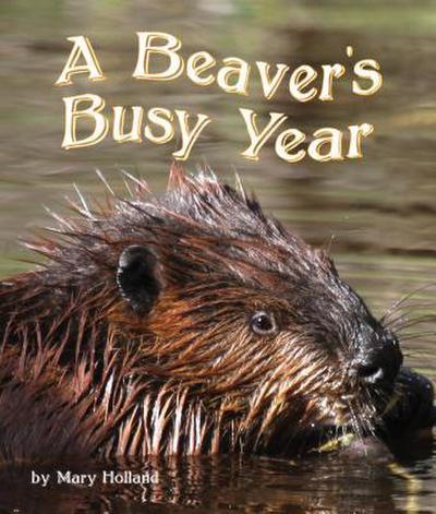 The Beavers’ Busy Year