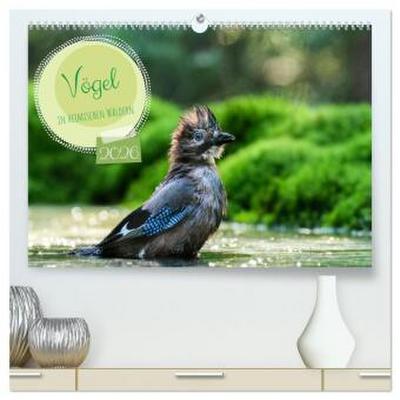 Vögel in heimischen Wäldern (hochwertiger Premium Wandkalender 2026 DIN A2 quer), Kunstdruck in Hochglanz