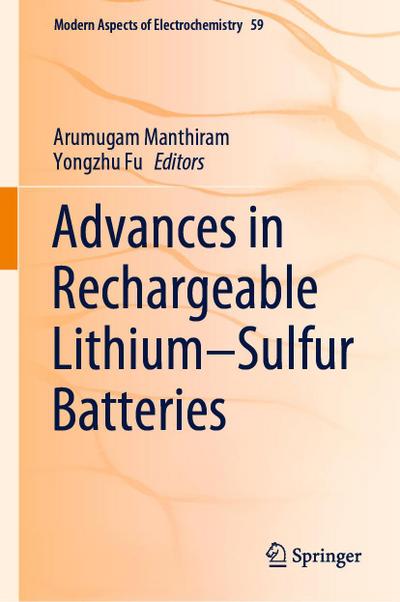 Advances in Rechargeable Lithium¿Sulfur Batteries