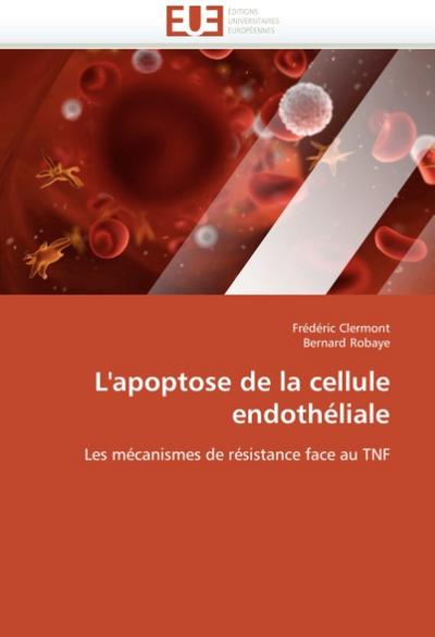 L’apoptose de la cellule endothéliale