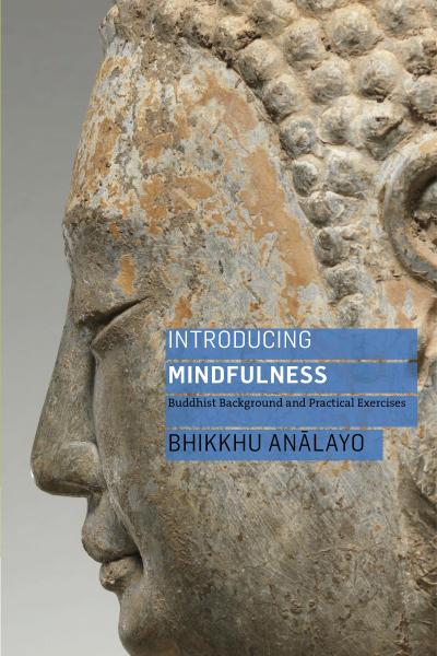 Introducing Mindfulness