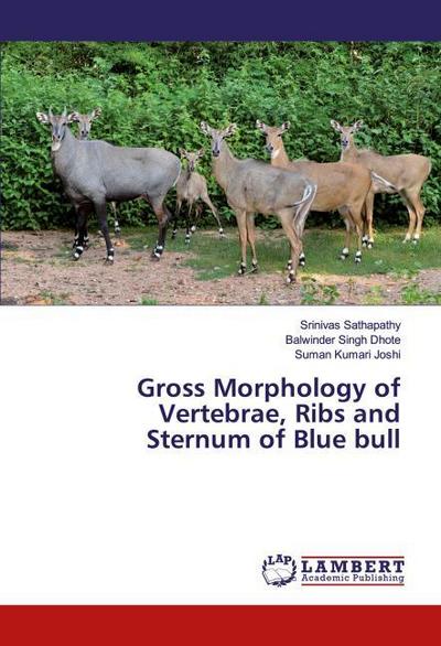 Gross Morphology of Vertebrae, Ribs and Sternum of Blue bull
