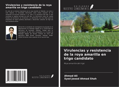 Virulencias y resistencia de la roya amarilla en trigo candidato