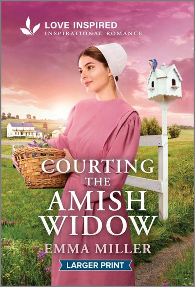 Courting the Amish Widow