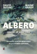 Un albero