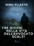 Tre giorni nella vita dell’avvocato Scalzi