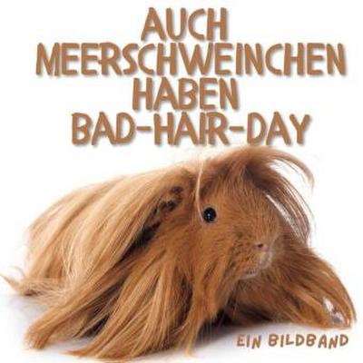 Auch Meerschweinchen haben Bad-Hair-Day