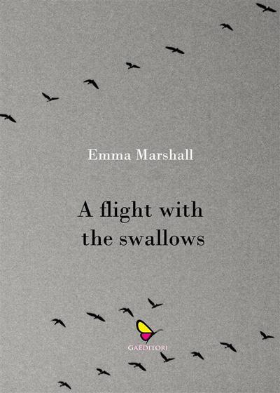 A flight with the swallows