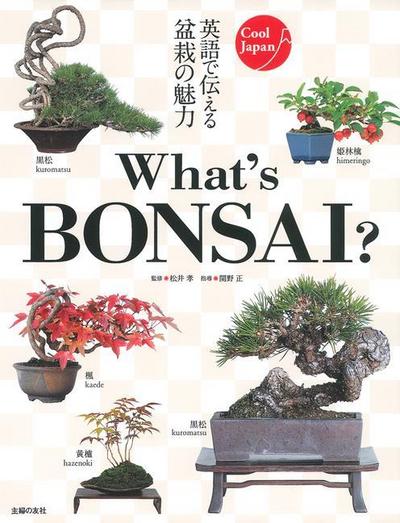 What’s Bonsai?