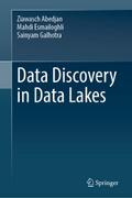 Data Discovery in Data Lakes