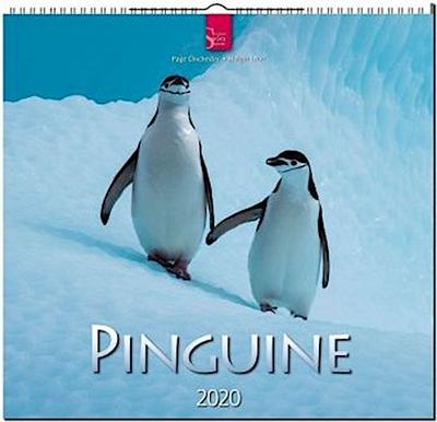 Pinguine 2020